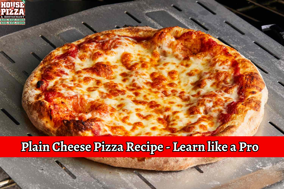 Plain Cheese Pizza Recipe - Learn like a Pro